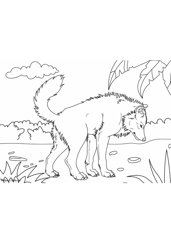 Wolf Printable coloring page