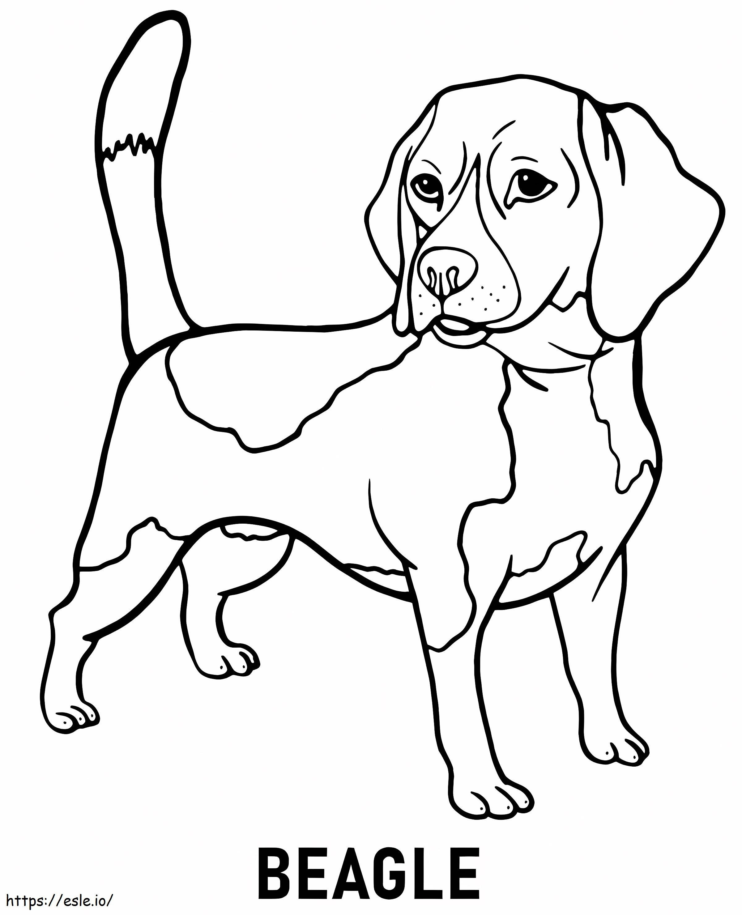 Afdrukbare Beagle kleurplaat kleurplaat