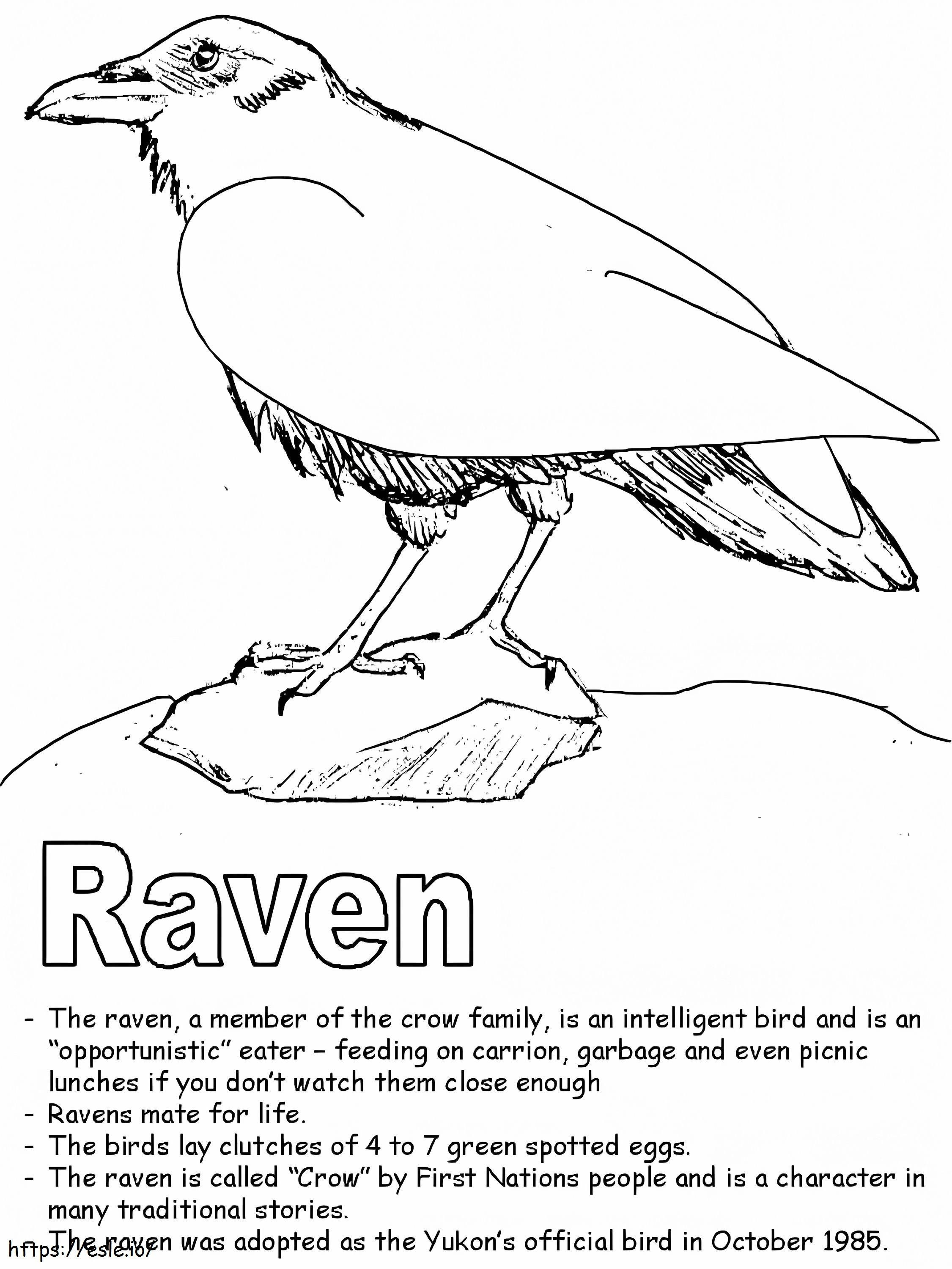 Raven 3 coloring page