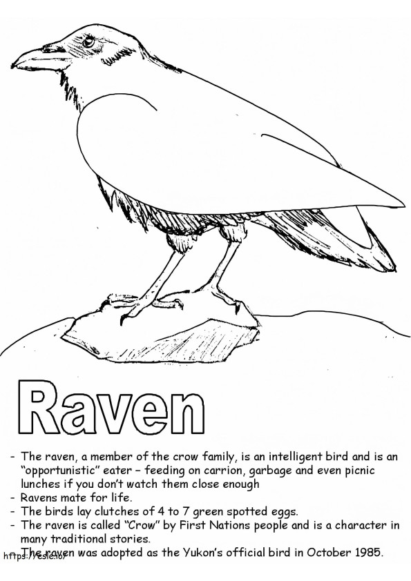 Raven 3 coloring page