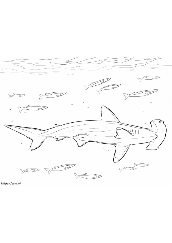 Tubarão-martelo e peixes para colorir