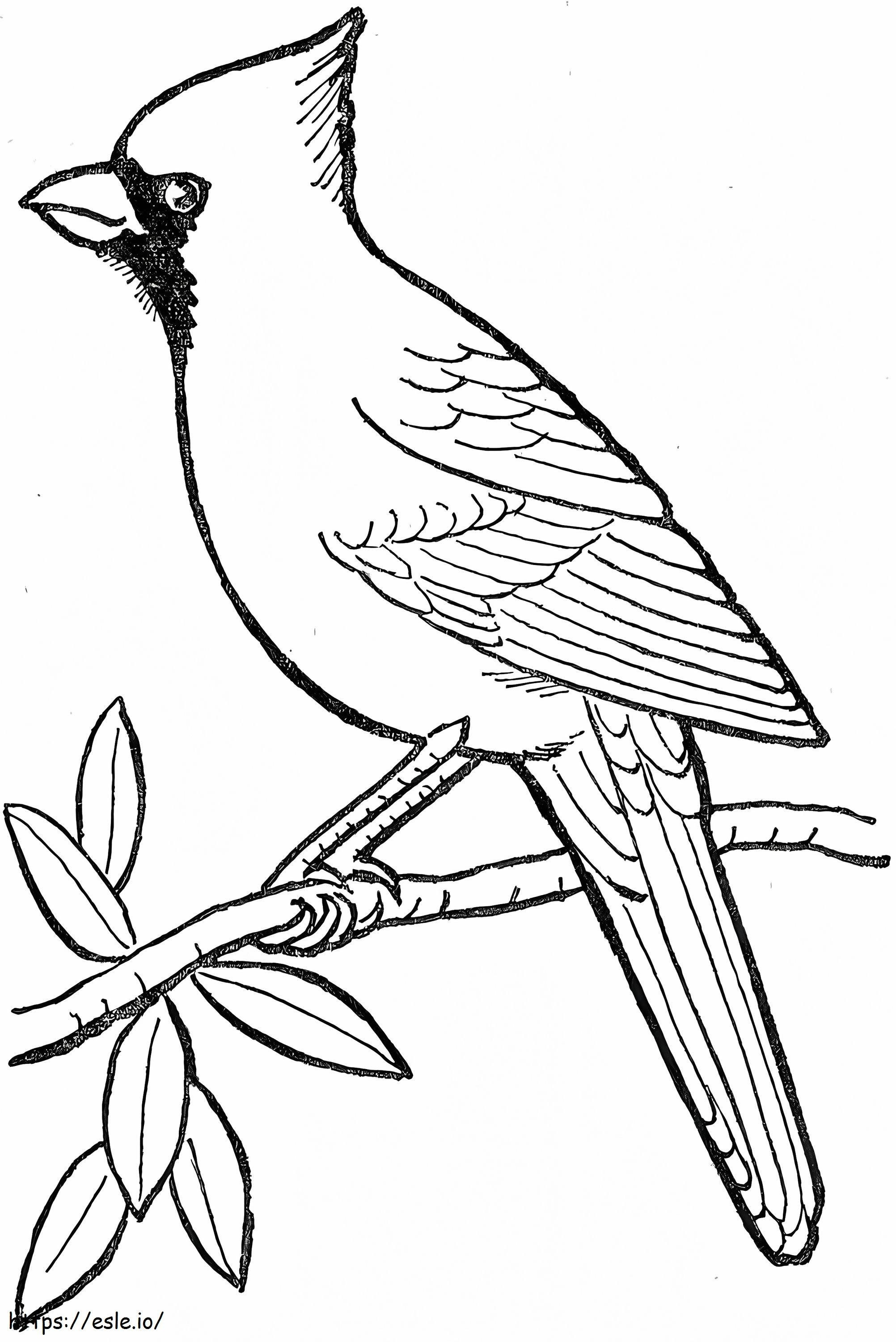 Coloriage Cardinal dessiné à la main à imprimer dessin