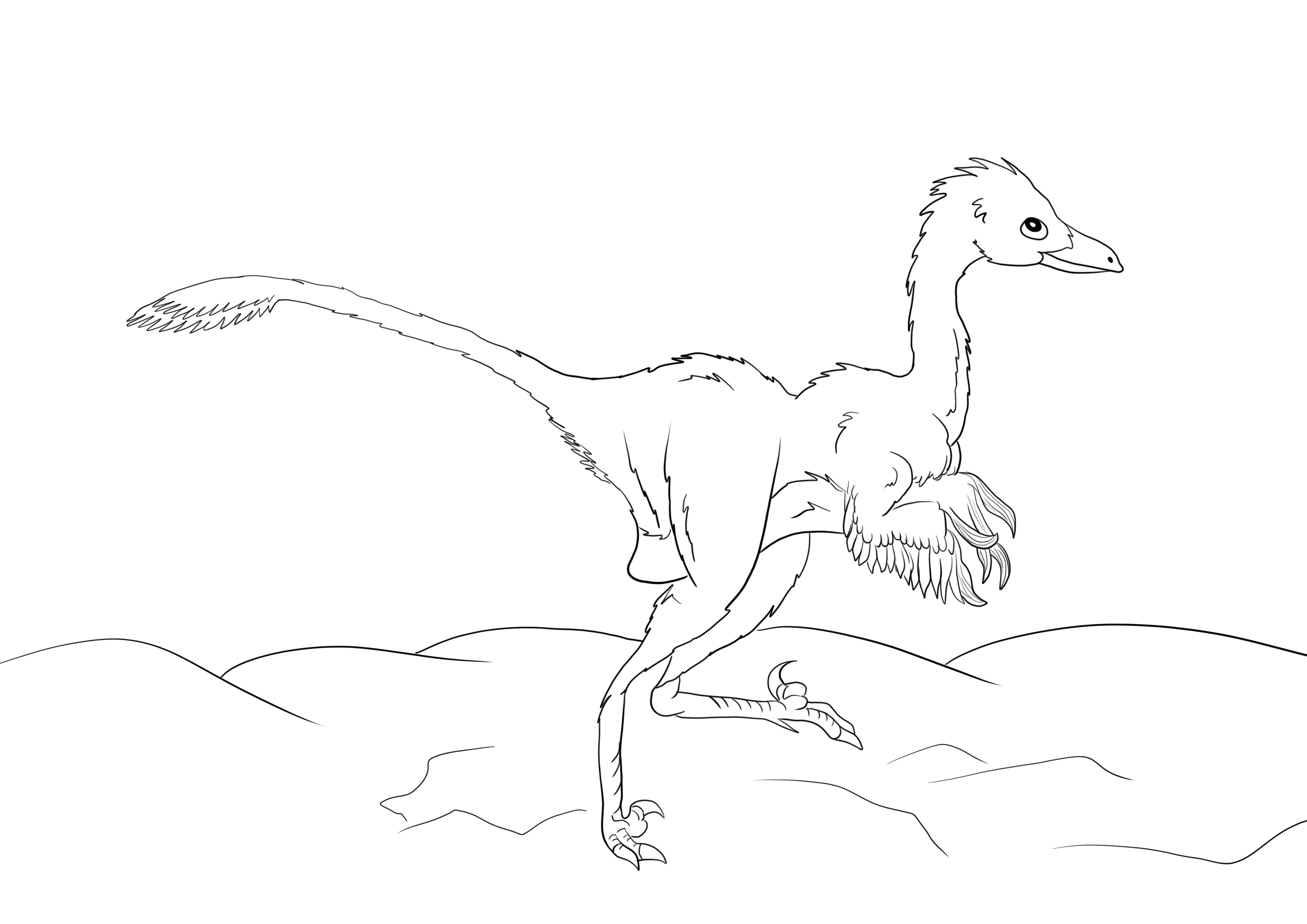 A free coloring page of a troodon dinosaur to print for free