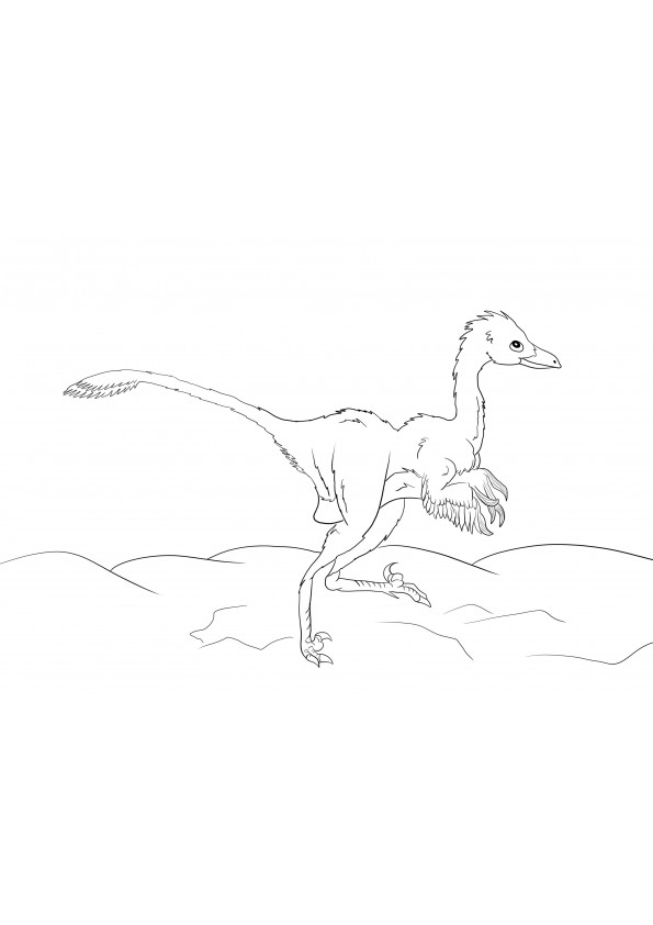 Una página para colorear gratis de un dinosaurio troodon para imprimir gratis