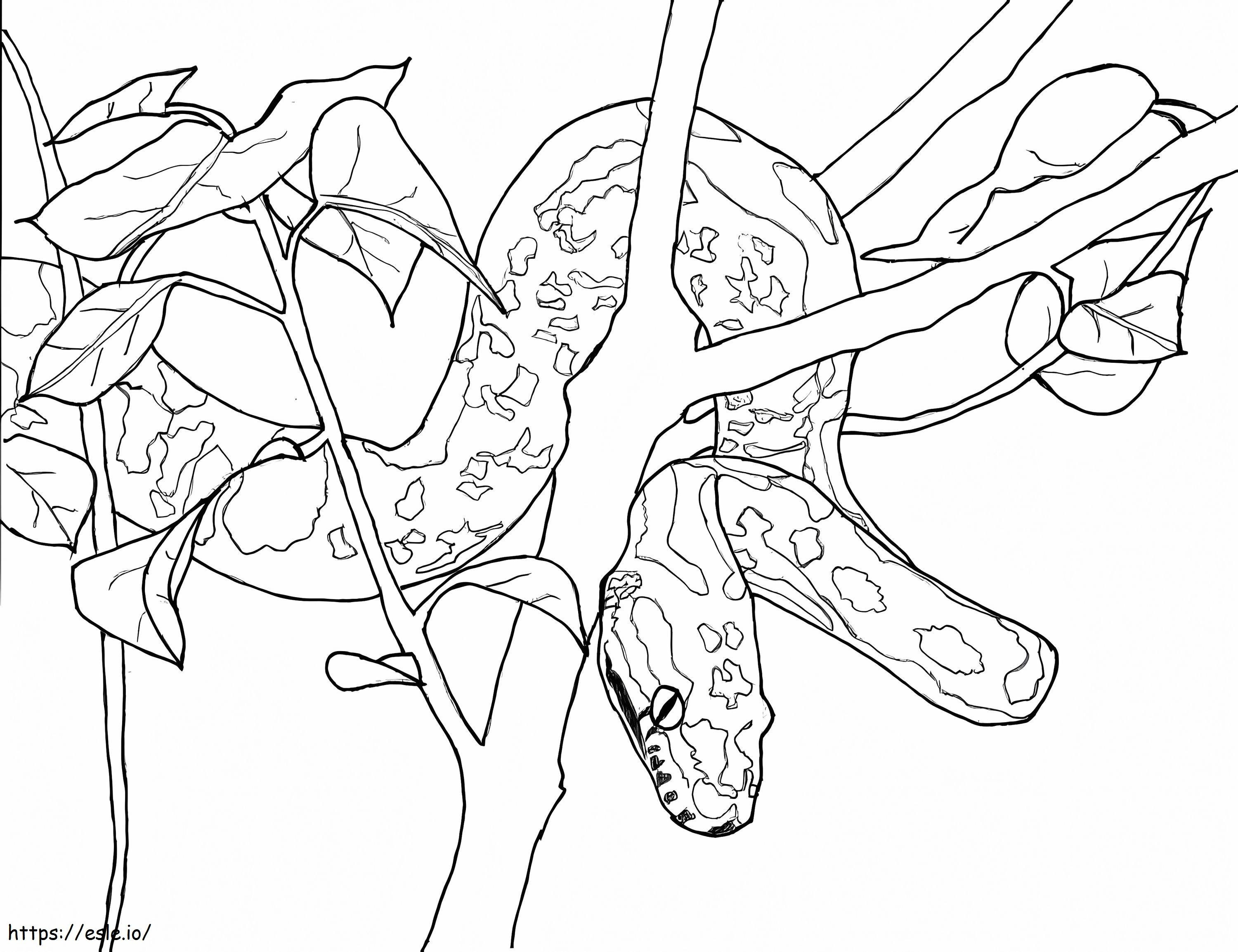 Anaconda Vore - 5umei2j