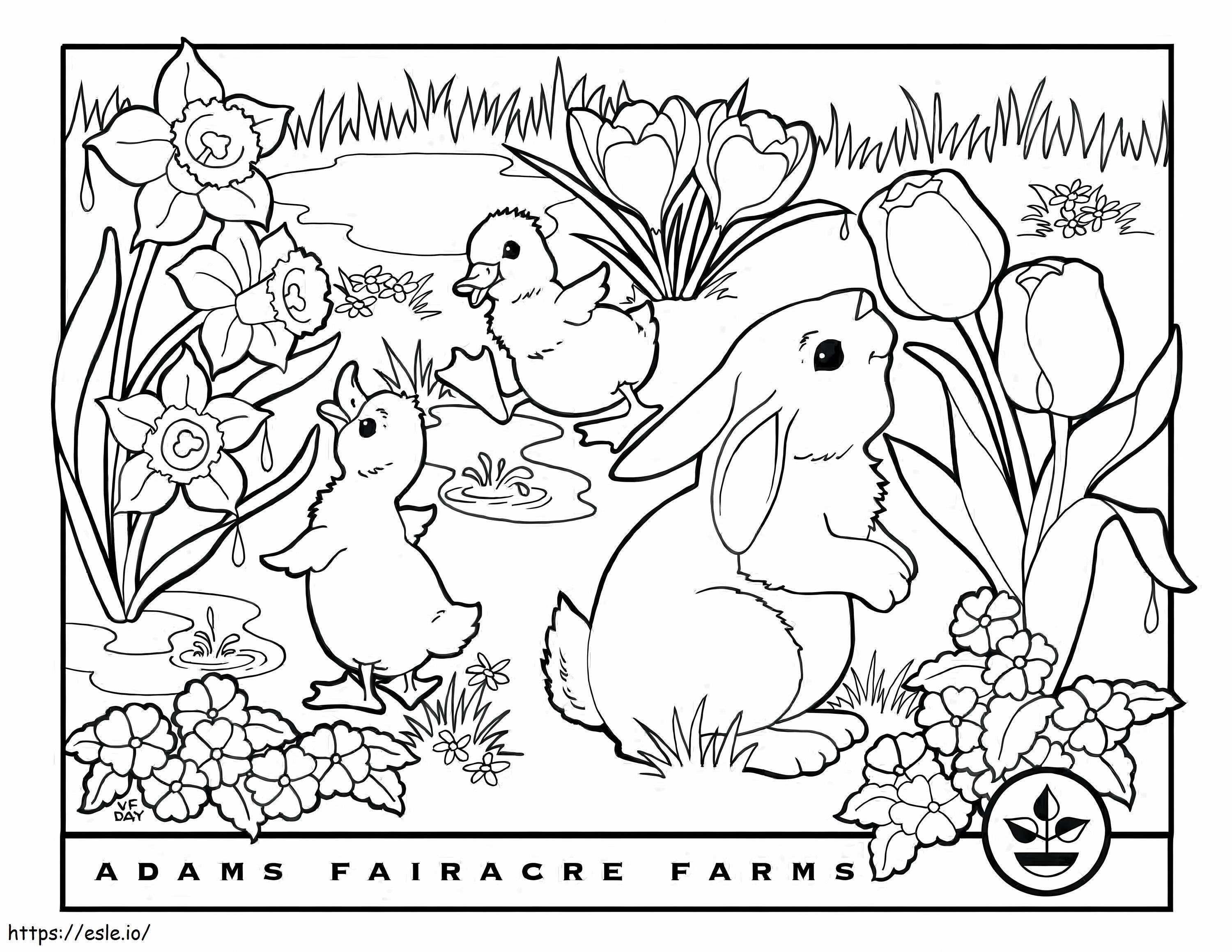 Páscoa de dois patos e coelhos para colorir