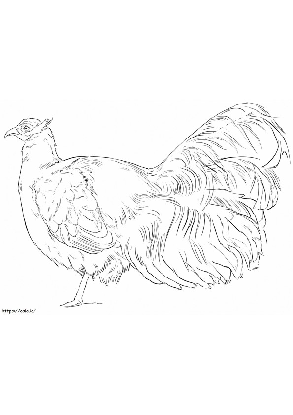 Brown Eared Pheasant coloring page