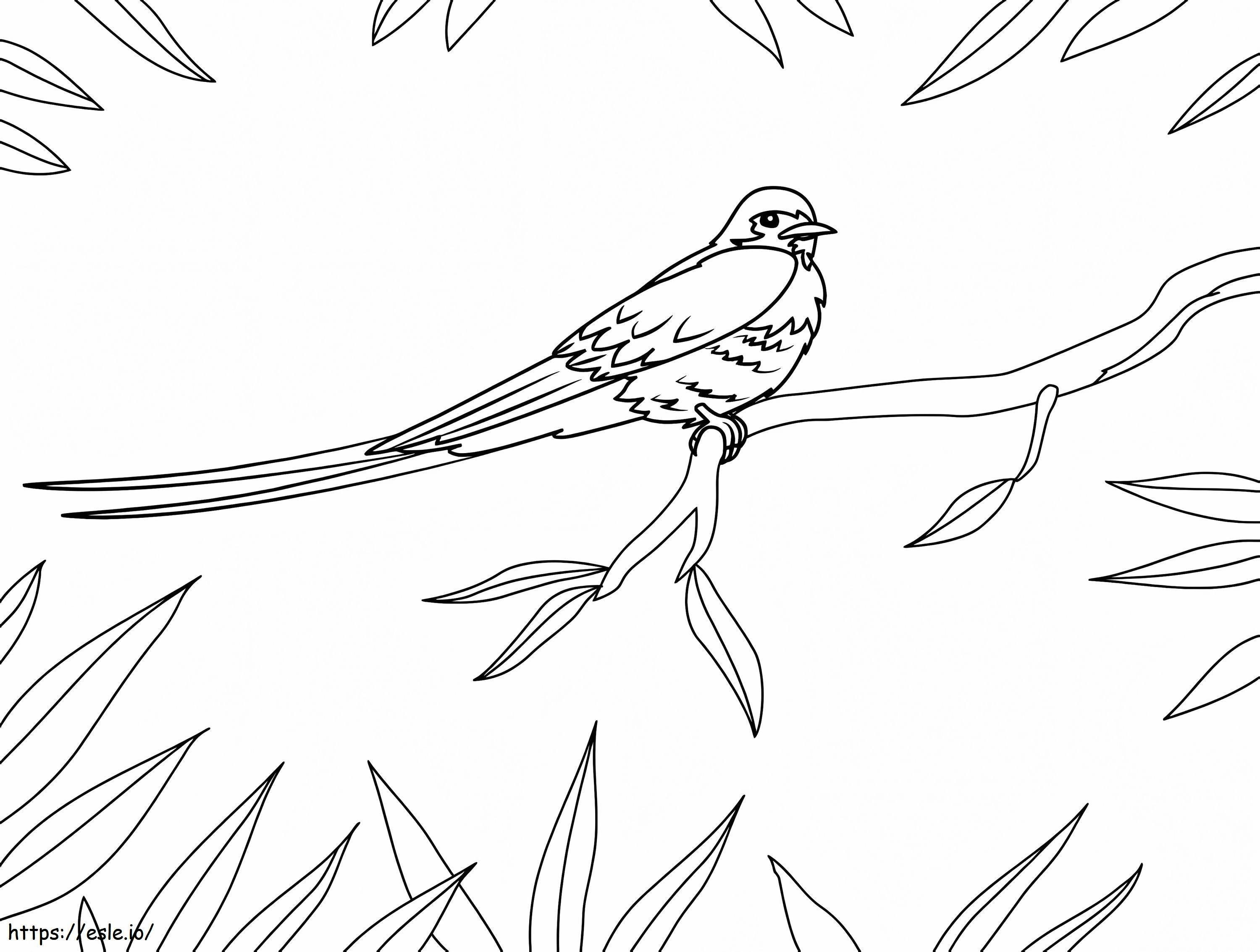 Blue Swallow coloring page