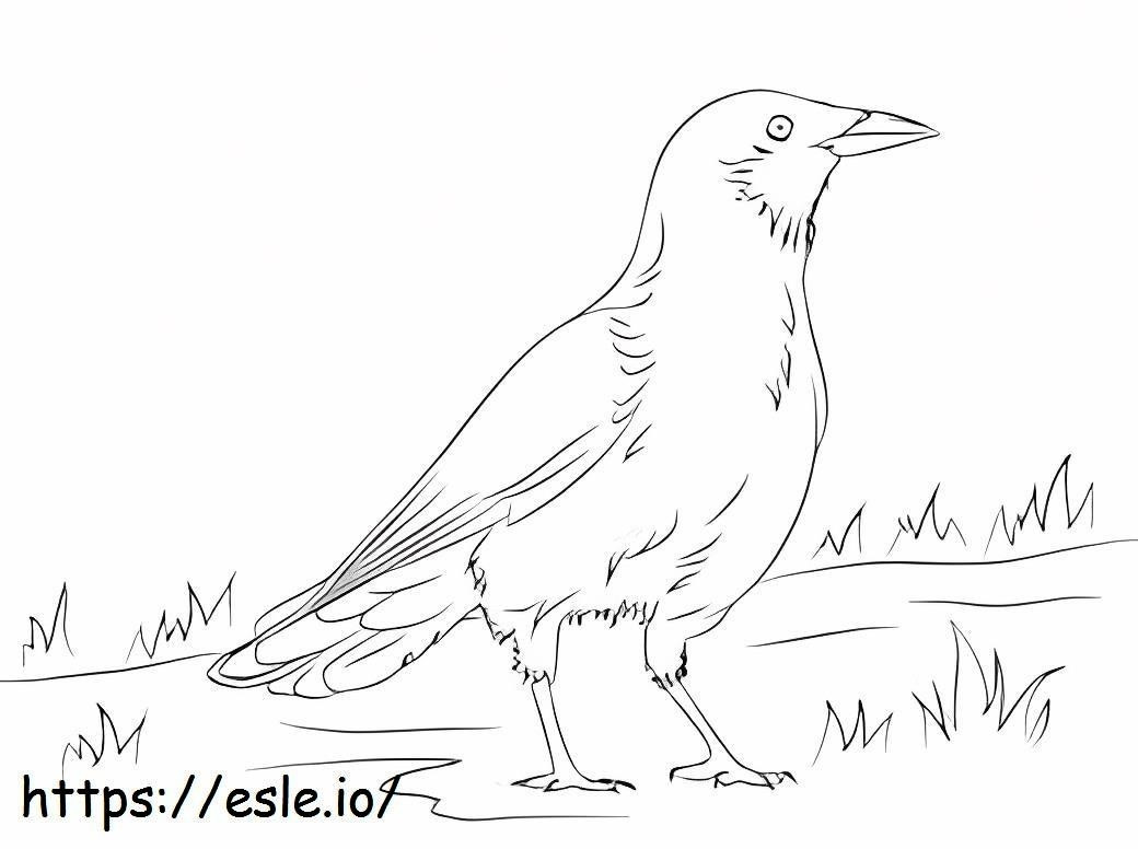 Standing Crow coloring page