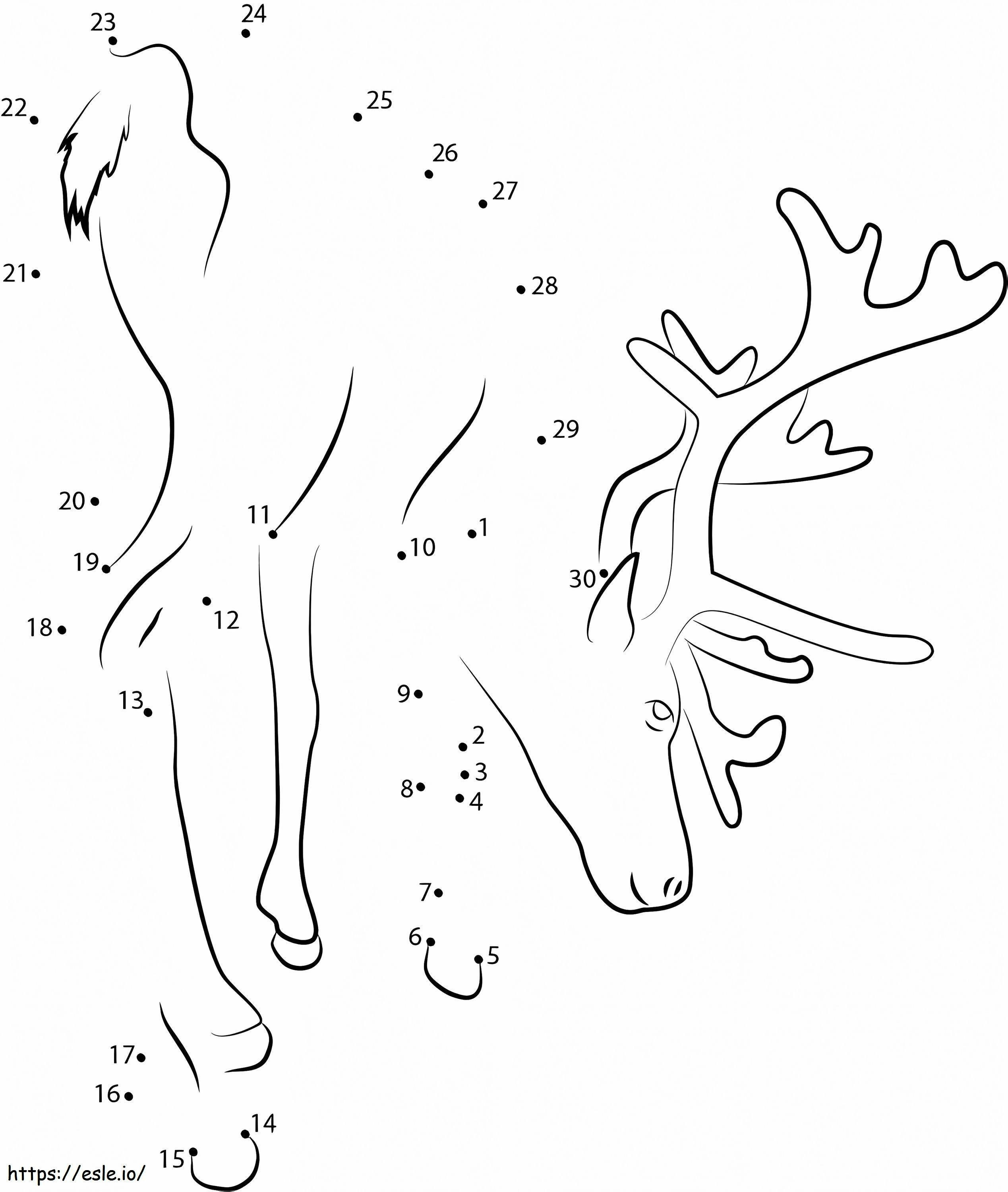 Reindeer Dot To Dots For Kid coloring page