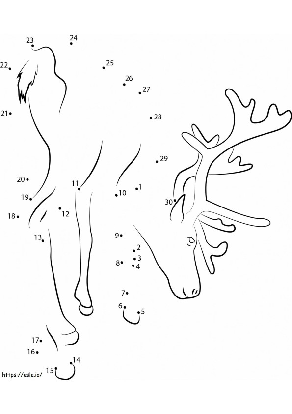 Reindeer Dot To Dots For Kid coloring page