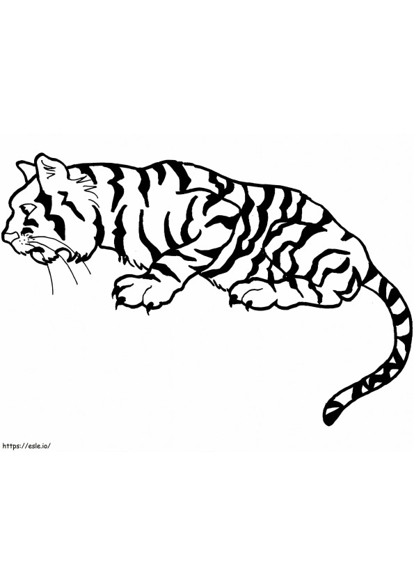 Harimau Penasaran