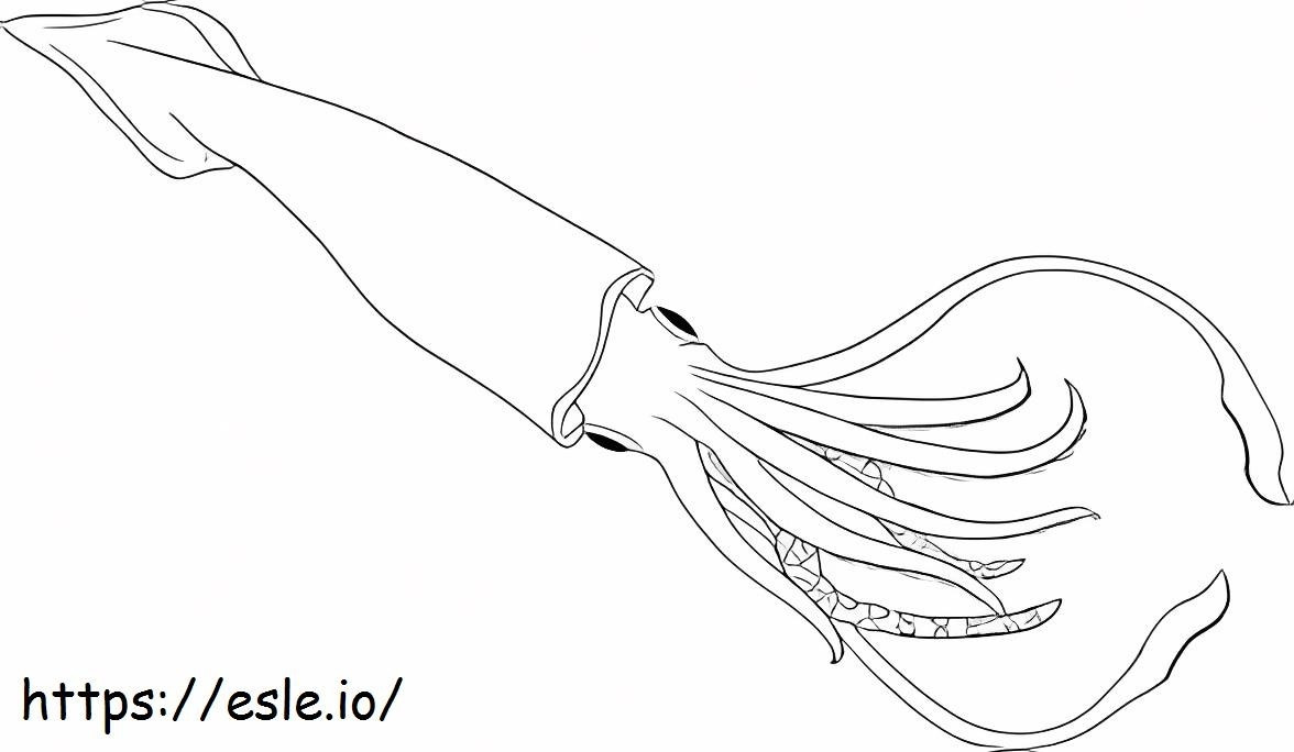 Simple Squid coloring page