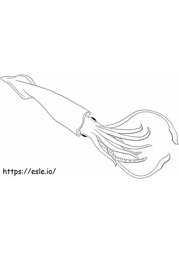 Simple Squid coloring page