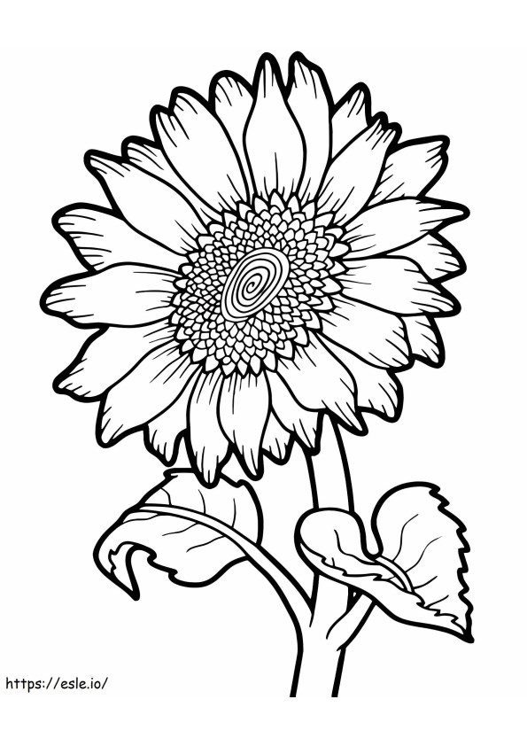 Bunga matahari Gambar Mewarnai