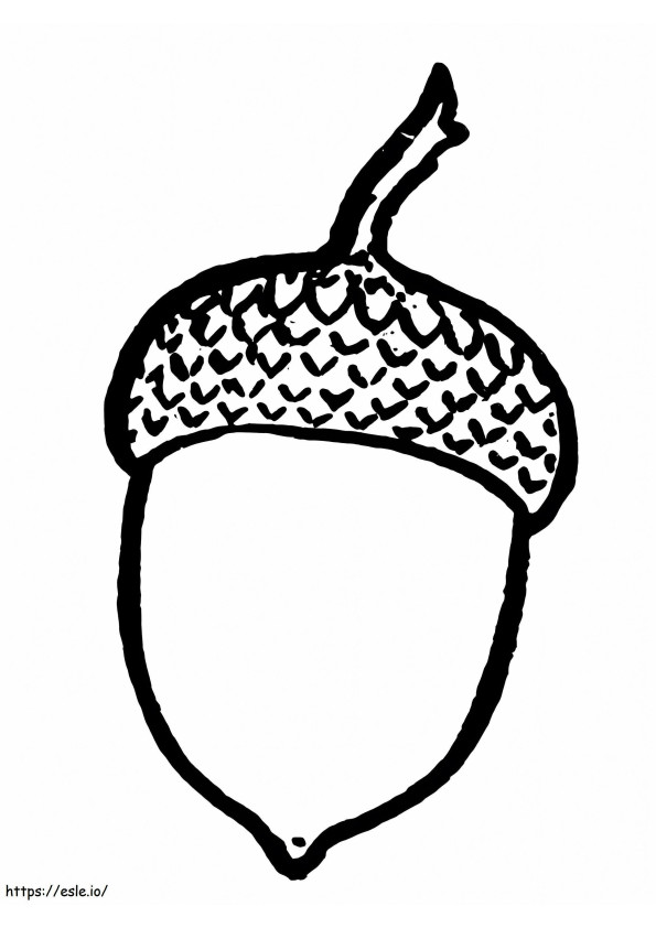 Acorn 2 coloring page