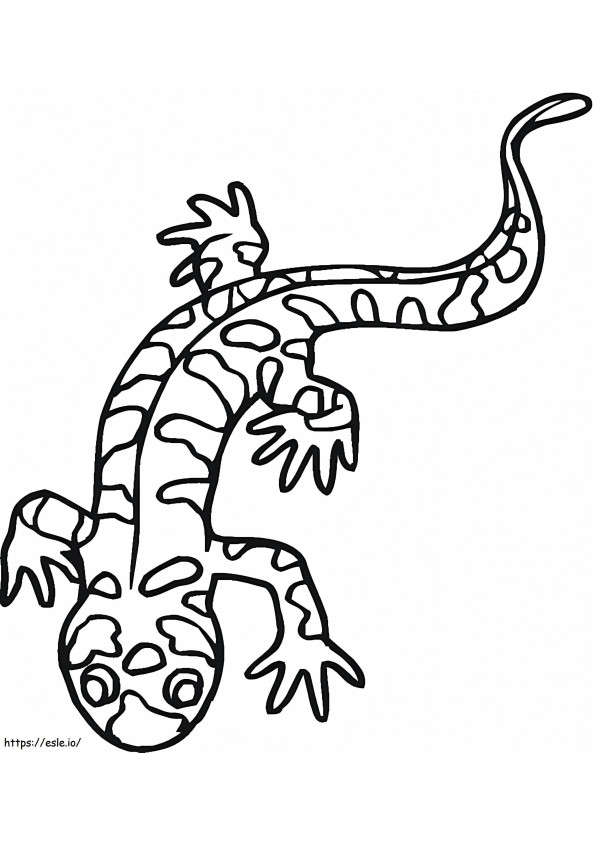 Coloriage Salamandre tigrée à imprimer dessin