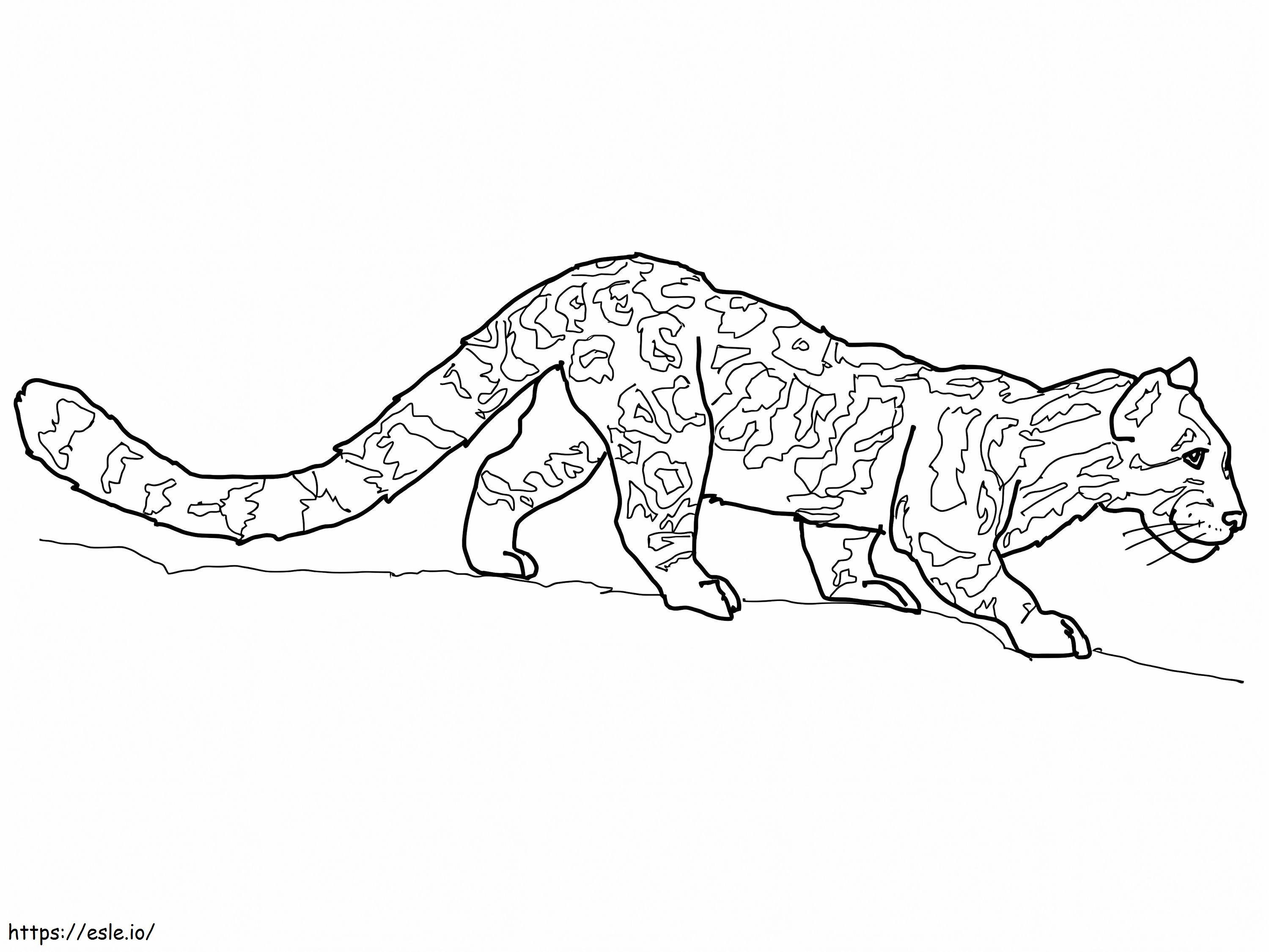 Clouded Leopard coloring page