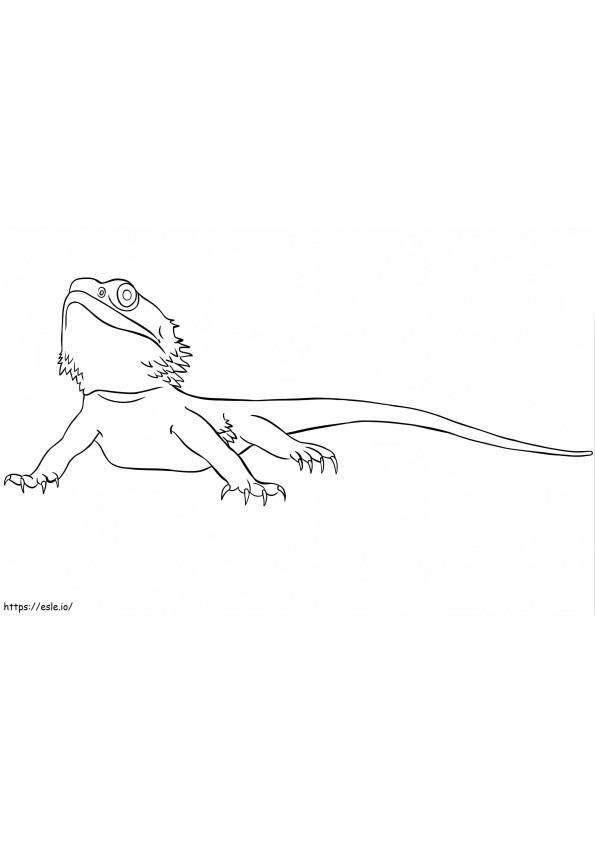 Bearded Dragon 3 coloring page