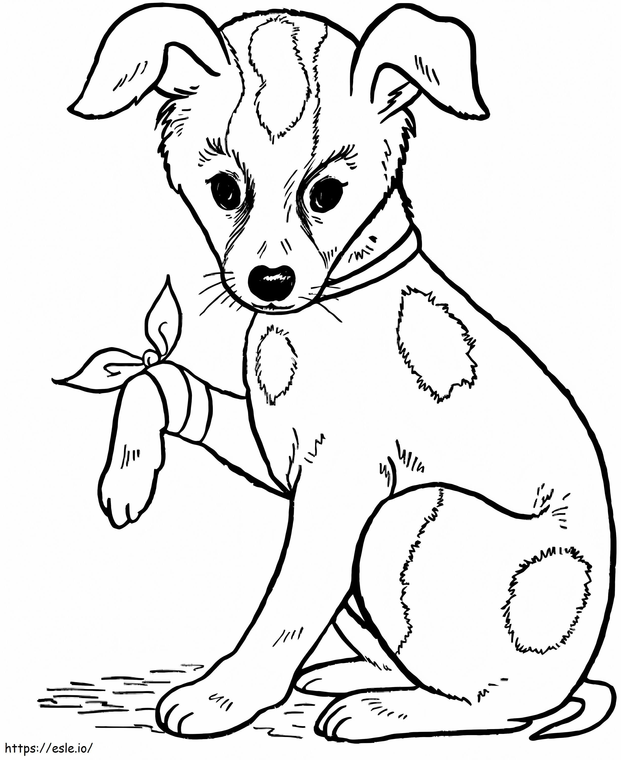 Dog With Bow coloring page