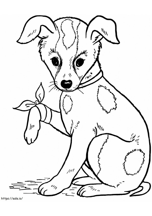 Dog With Bow coloring page