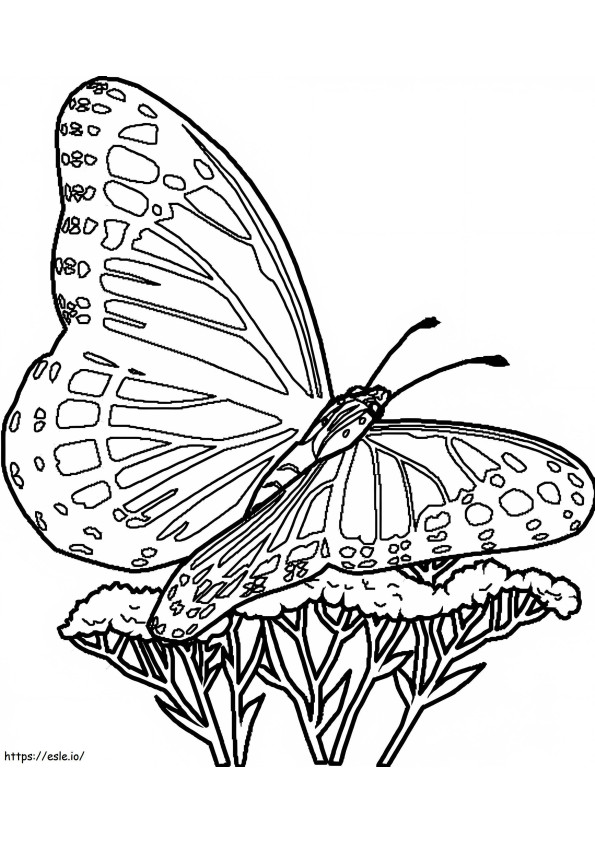 Motyl 3 kolorowanka