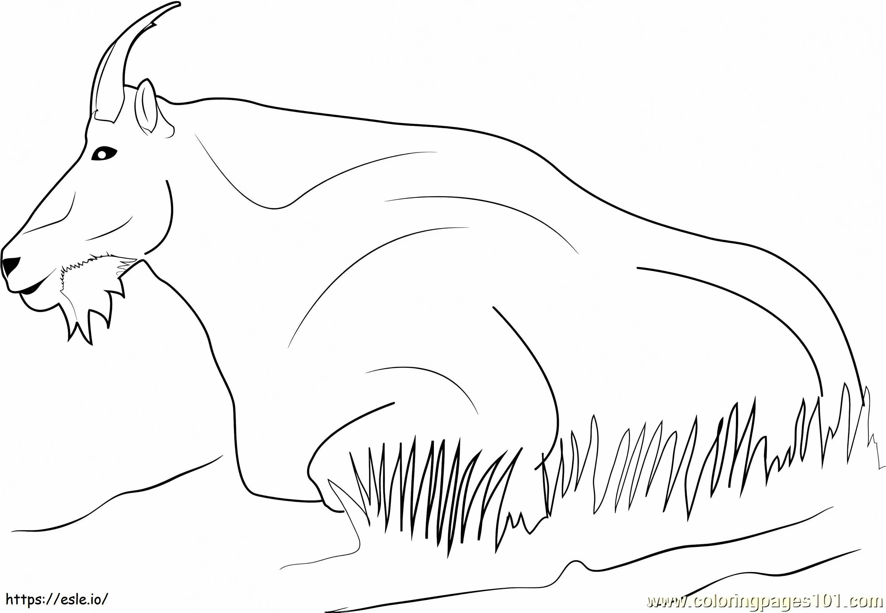 Mountain Goat Relaxing A4 Coloring Page