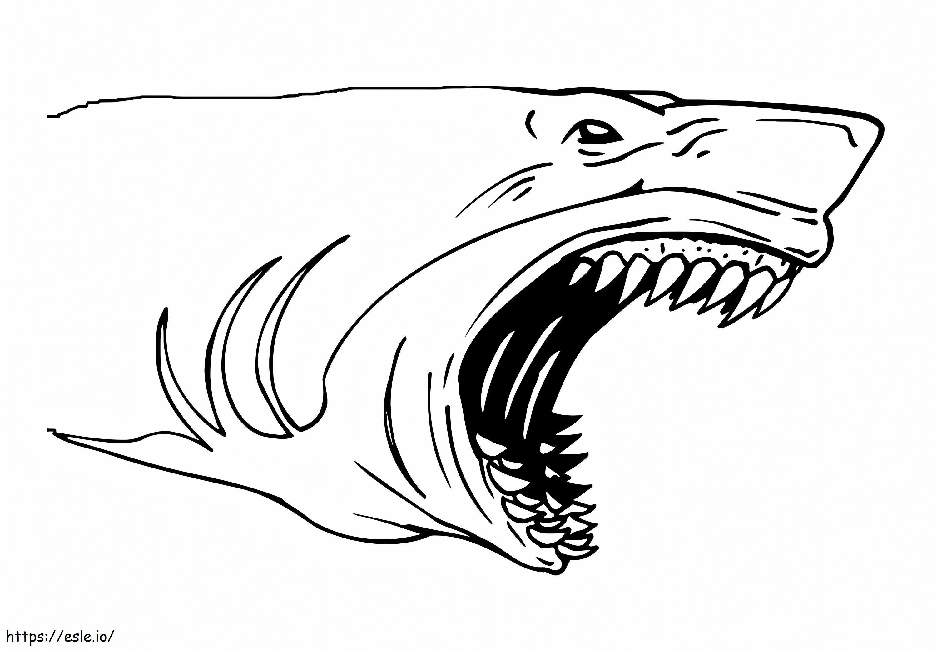 Shark Portrait coloring page