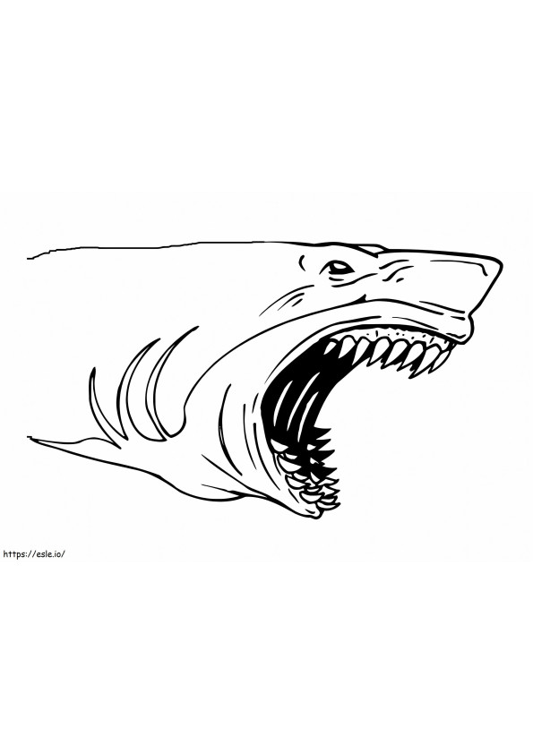 Retrato de tubarão para colorir