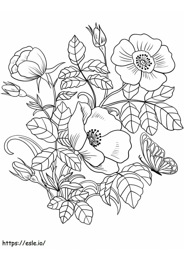 Coloriage Fleurs Et Papillons De Printemps à imprimer dessin