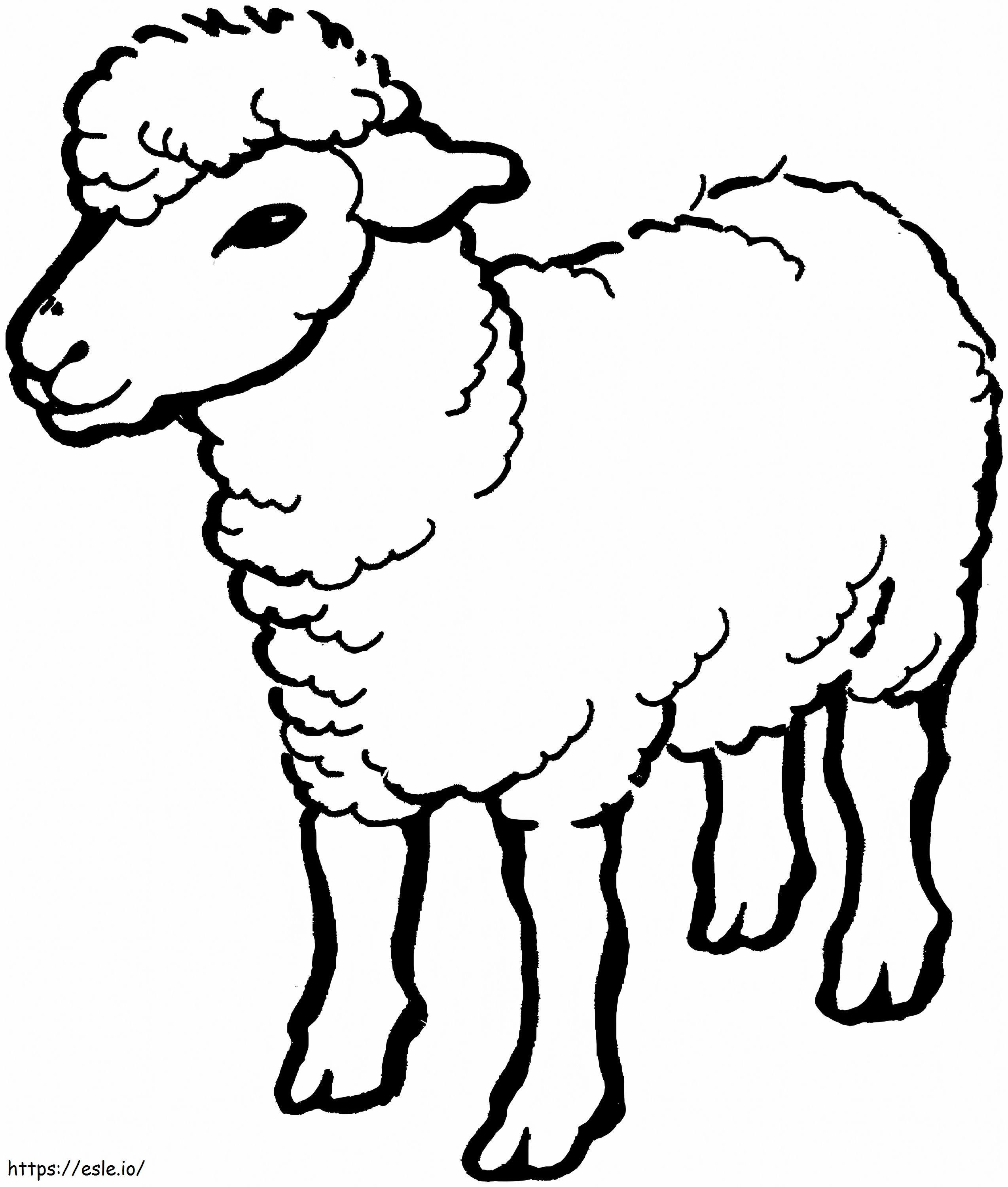 Sheep Drawing coloring page