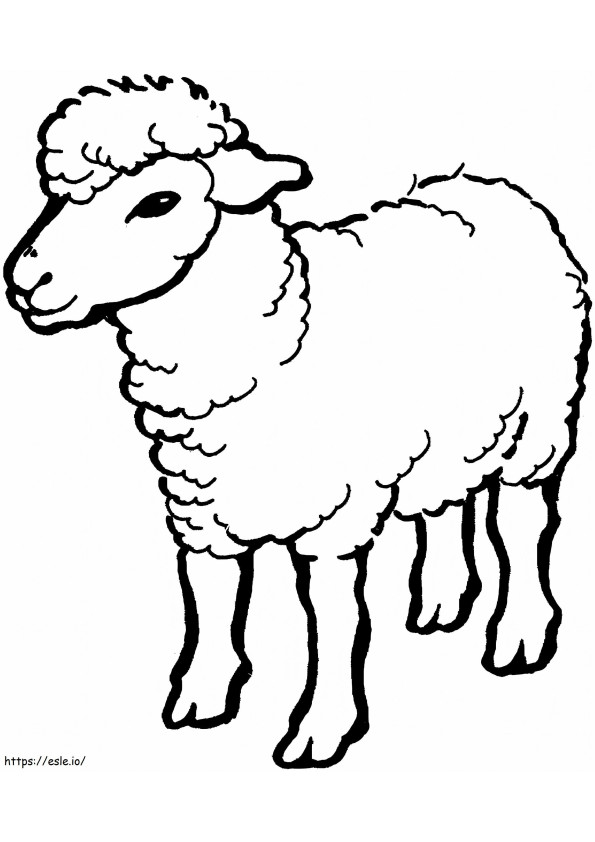 Disegno delle pecore da colorare