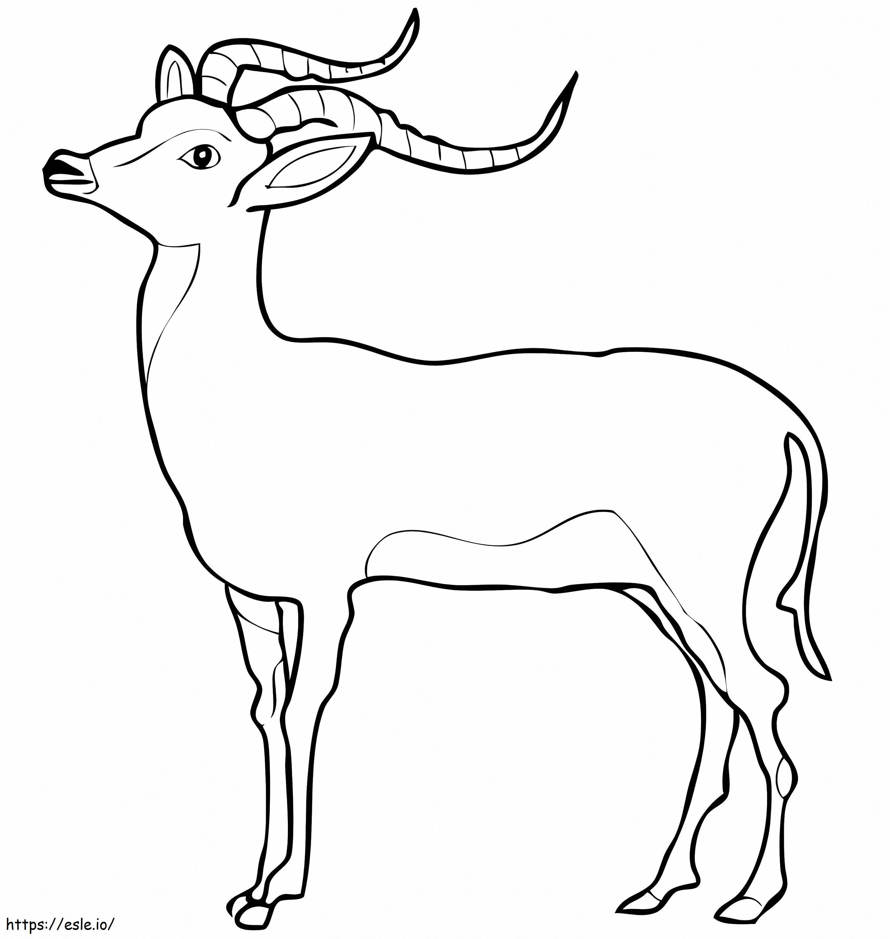 Coloriage Impala normale à imprimer dessin