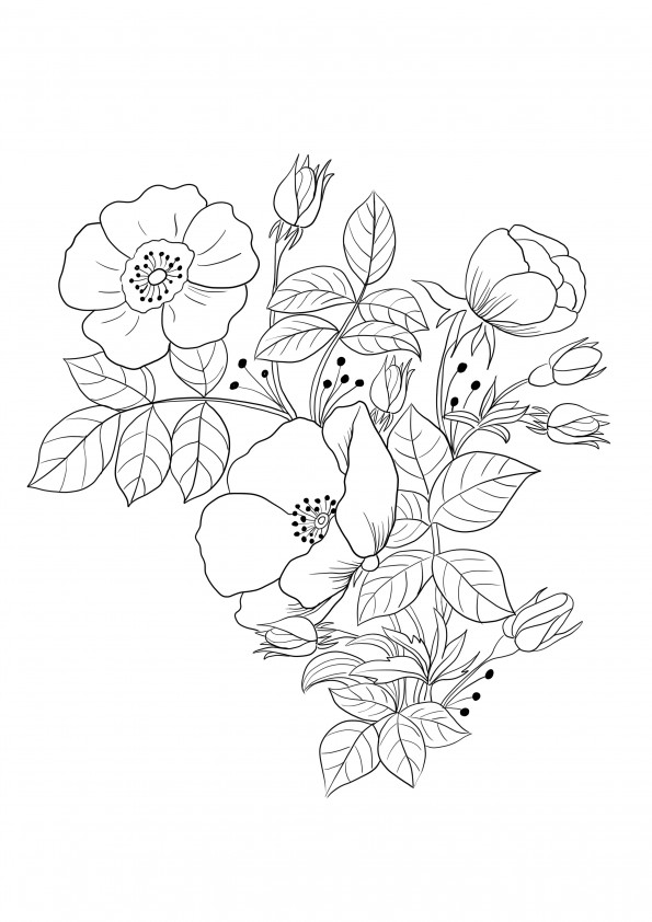Spring flowers coloring image for kids to print-free