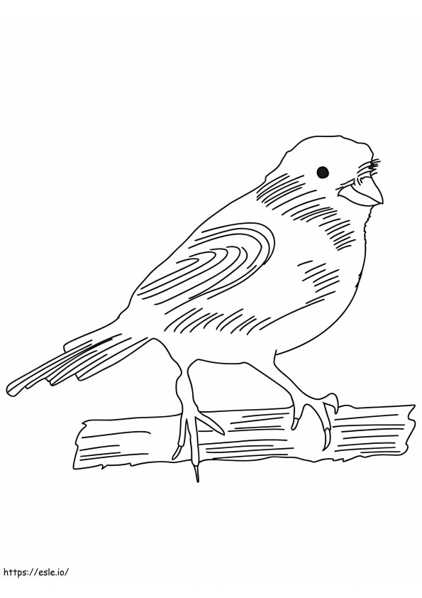 Piirrä käsin Kanarian lintu värityskuva