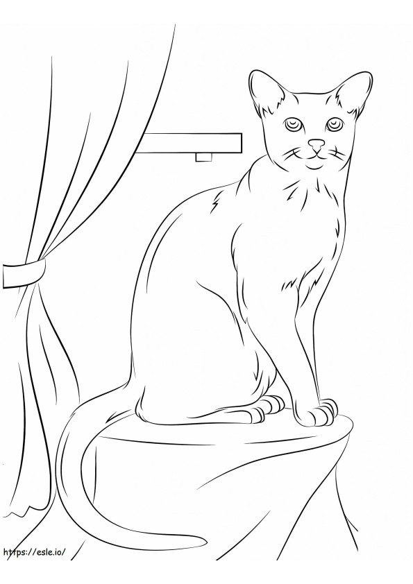 27Cat On The Table 787X1024 coloring page