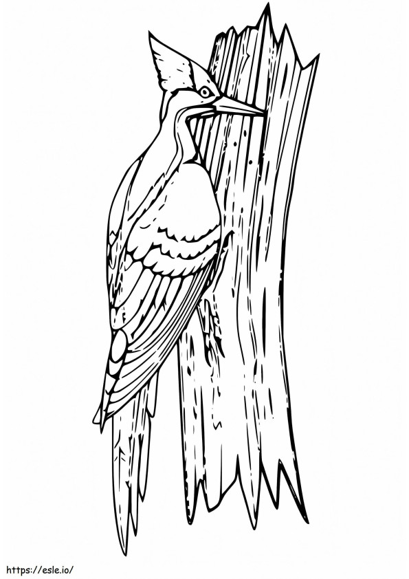 Woodpecker 8 coloring page