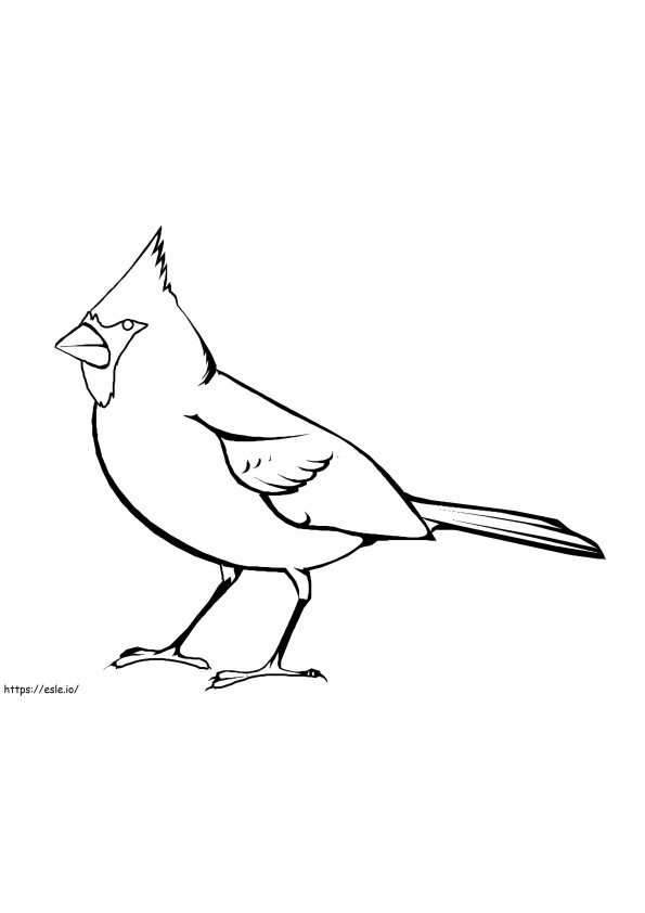 Angry Nightingale coloring page
