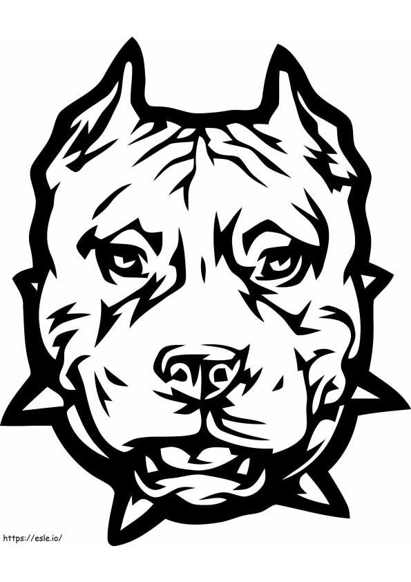 Pitbull Face coloring page