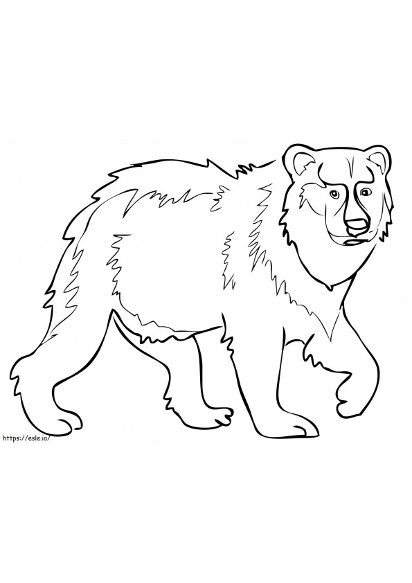 Urso Pardo Eurasiático para colorir