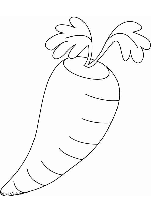 Carotte géante