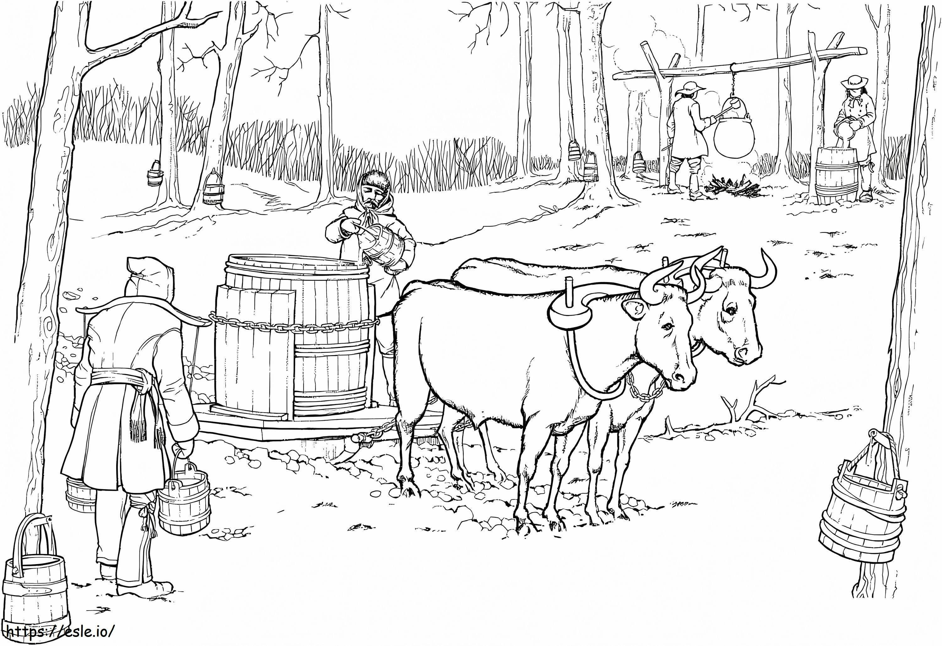 Coloriage Traîneau tirant des bœufs à imprimer dessin