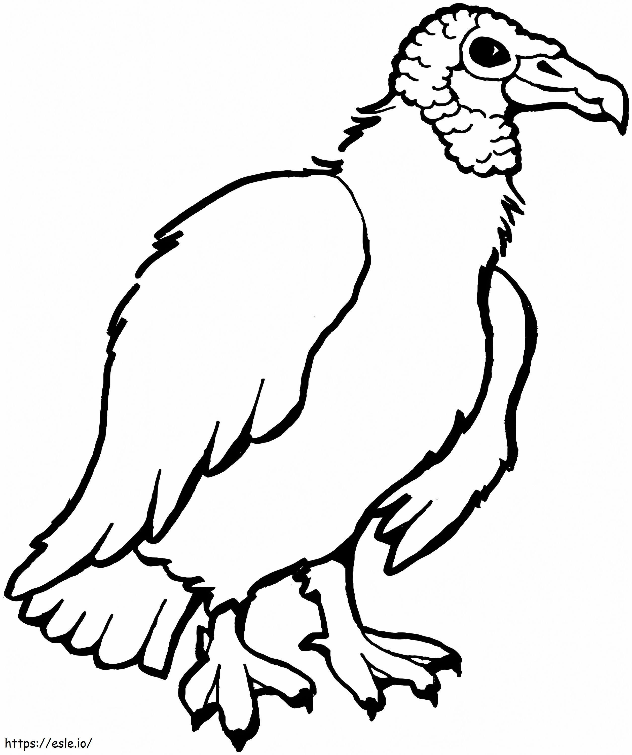 Avvoltoio Nero 1 da colorare