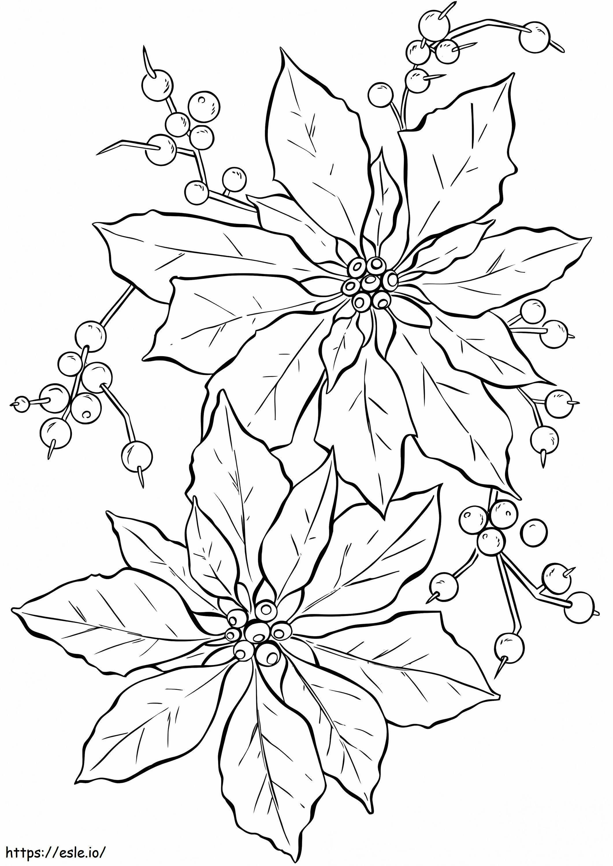 Poinsettia-bloem kleurplaat kleurplaat