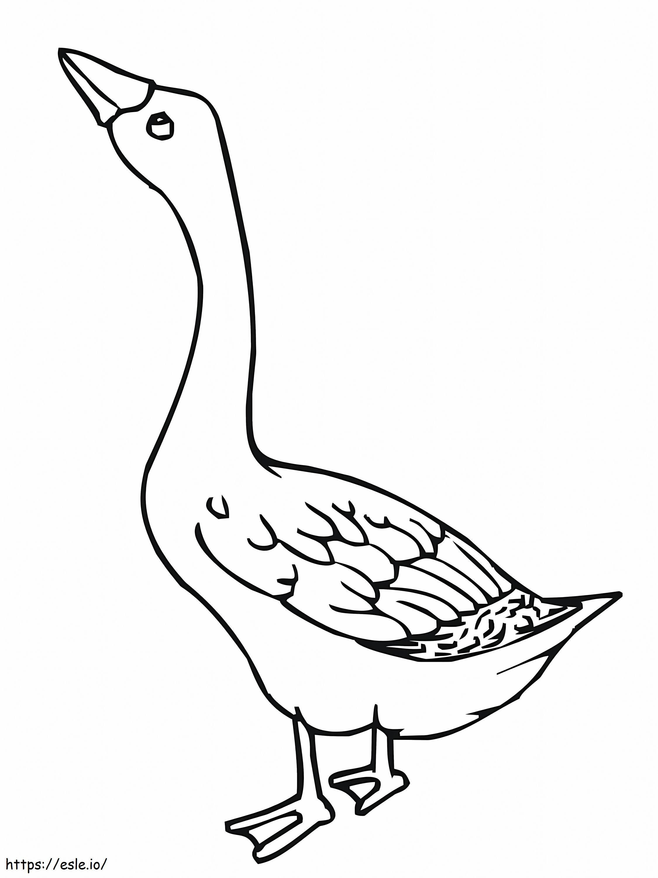Basic Goose coloring page