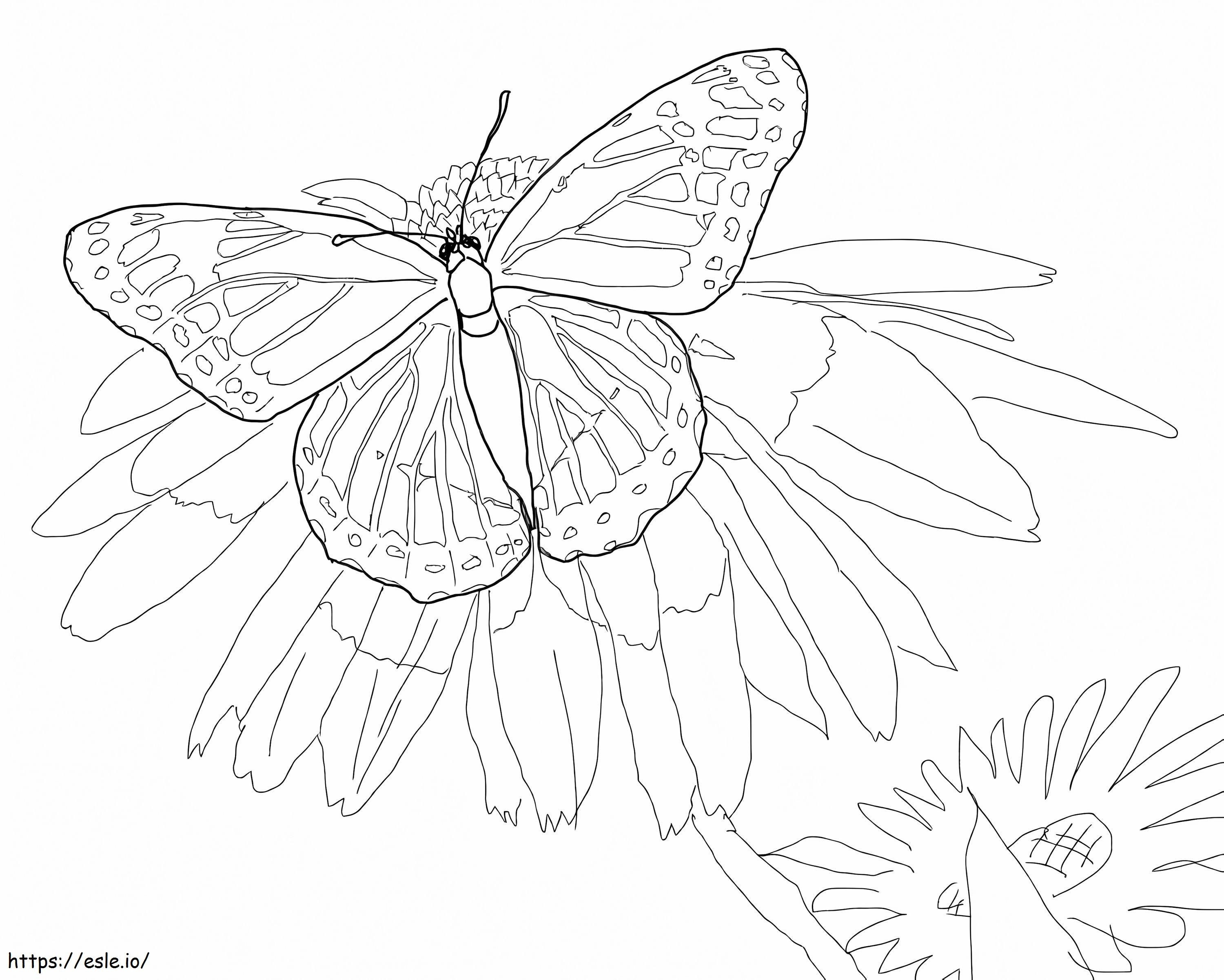 Alkirály Pillangó kifestő