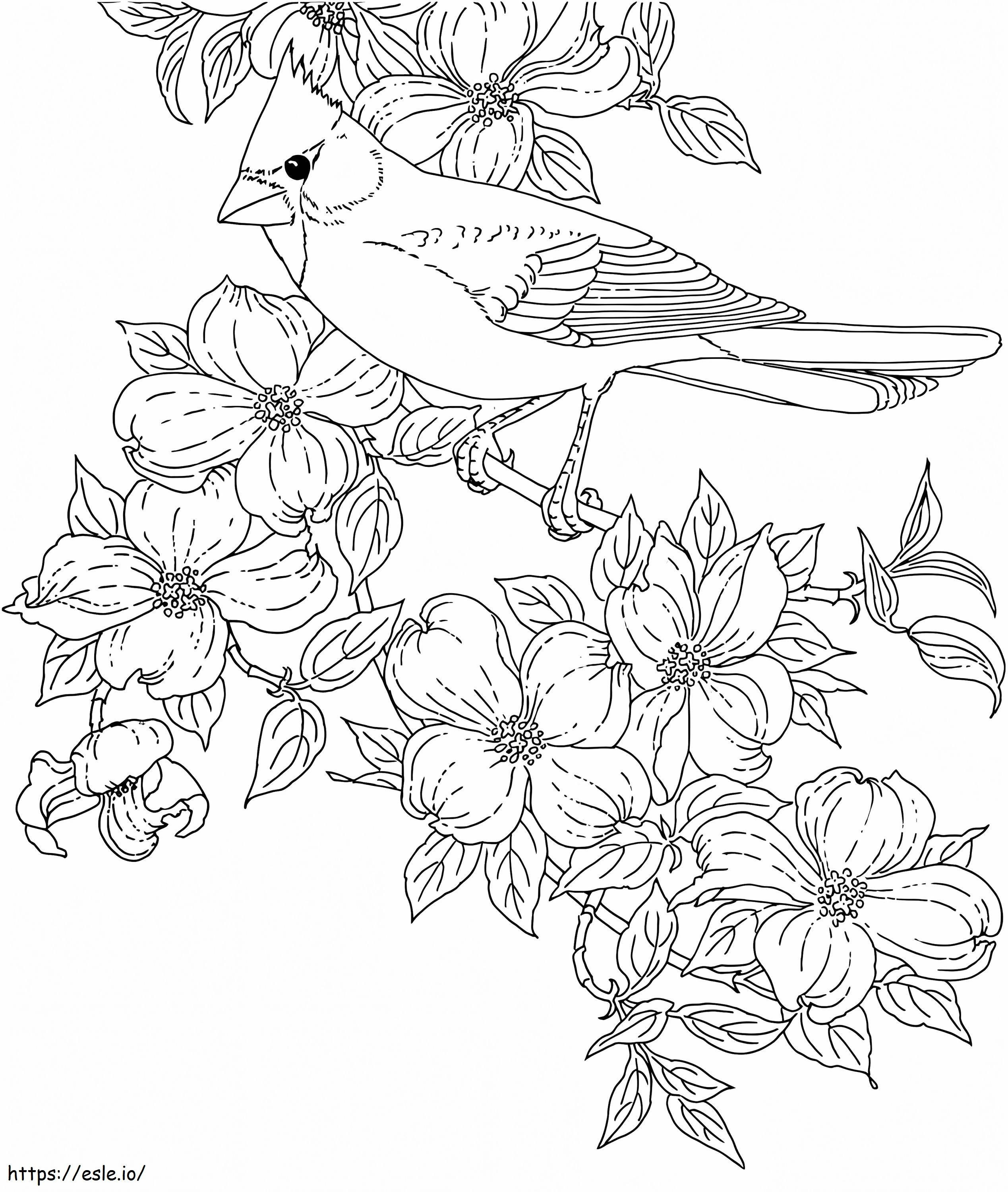 Coloriage Cardinal et fleurs à imprimer dessin