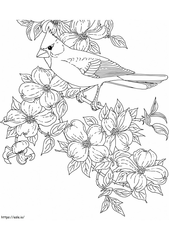 Cardinal And Flowers coloring page