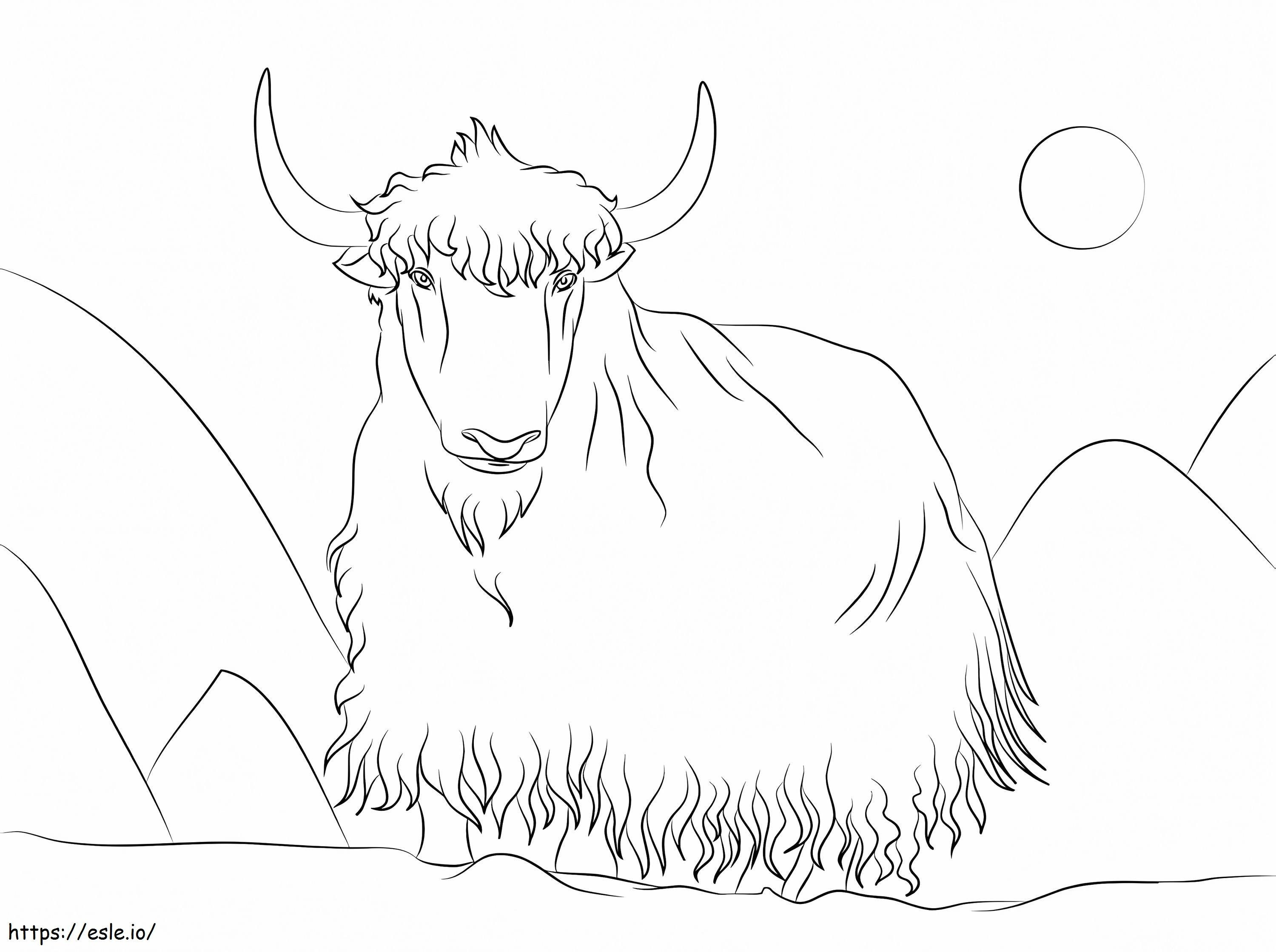 Yak 1 coloring page