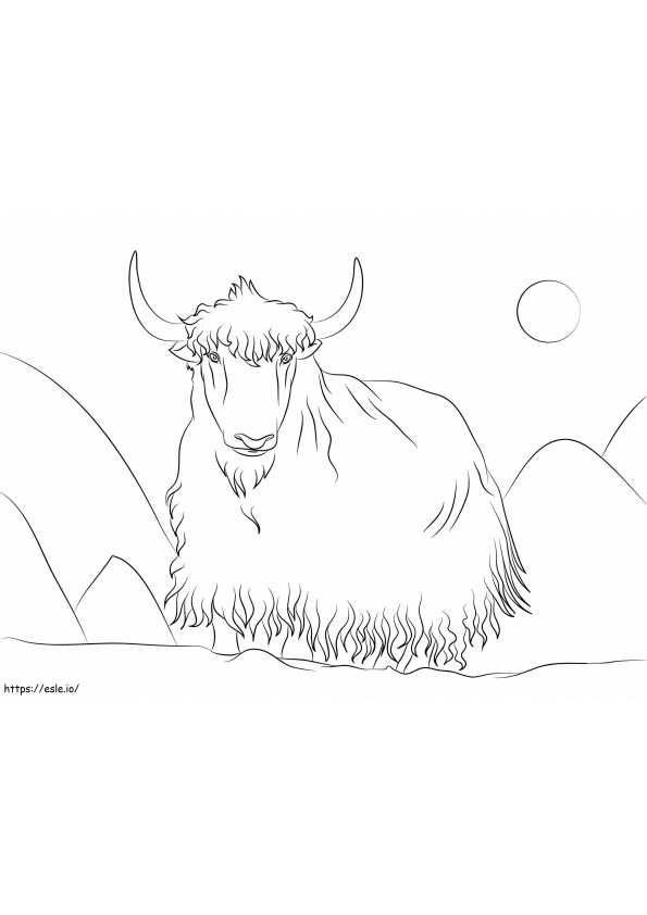 Yak 1 coloring page